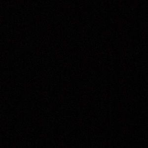 Meet your Posher, Dishawn